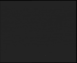 Nástup na běžecké tratě