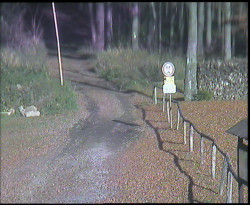 Nástup na běžecké tratě