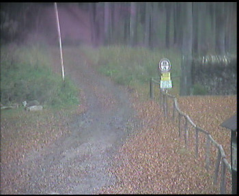 Snímek 8.11.2025 v 08:00