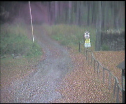 Nástup na běžecké tratě