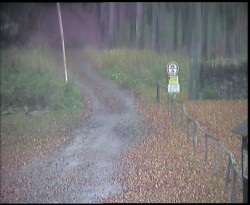 Nástup na běžecké tratě