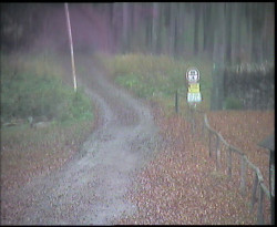 Nástup na běžecké tratě