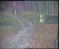 Nástup na běžecké tratě