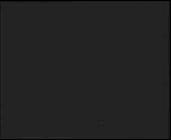 Nástup na běžecké tratě