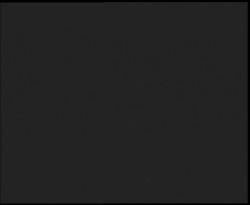 Nástup na běžecké tratě