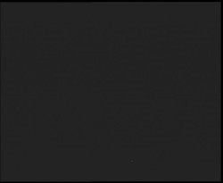 Nástup na běžecké tratě