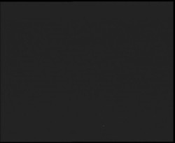 Nástup na běžecké tratě