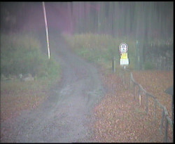 Nástup na běžecké tratě