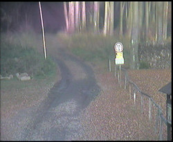 Nástup na běžecké tratě