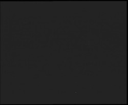 Nástup na běžecké tratě