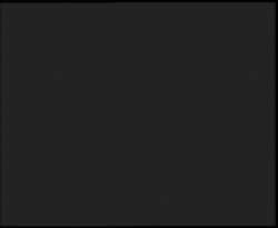 Nástup na běžecké tratě