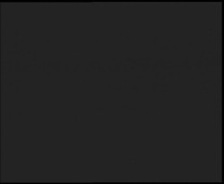 Nástup na běžecké tratě