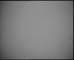 Nástup na běžecké tratě