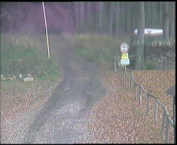 Nástup na běžecké tratě