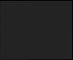 Nástup na běžecké tratě