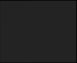 Nástup na běžecké tratě