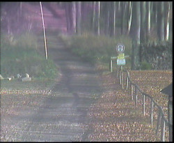 Nástup na běžecké tratě