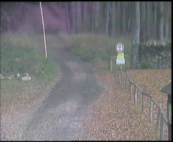 Nástup na běžecké tratě