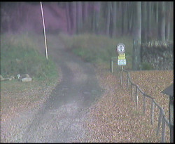 Nástup na běžecké tratě