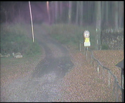 Nástup na běžecké tratě