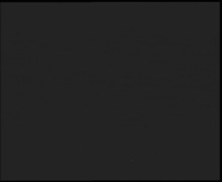 Nástup na běžecké tratě