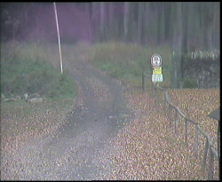 Nástup na běžecké tratě