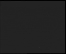 Nástup na běžecké tratě