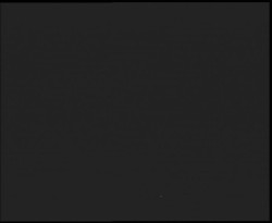 Nástup na běžecké tratě