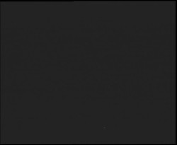 Nástup na běžecké tratě