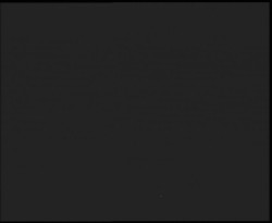 Nástup na běžecké tratě