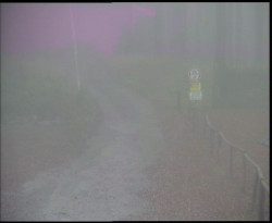 Nástup na běžecké tratě