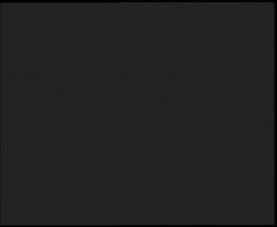 Nástup na běžecké tratě