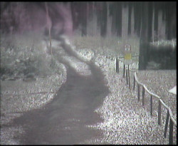 Nástup na běžecké tratě