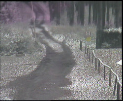 Nástup na běžecké tratě