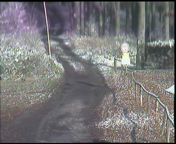 Snímek    18.11.2025 v 13:00