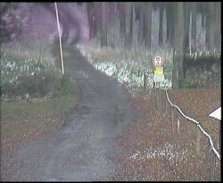 Nástup na běžecké tratě