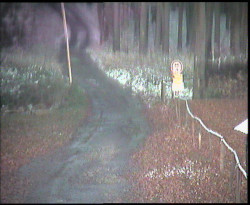 Nástup na běžecké tratě