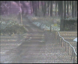 Nástup na běžecké tratě