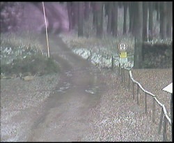 Nástup na běžecké tratě