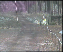 Nástup na běžecké tratě