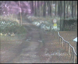 Nástup na běžecké tratě