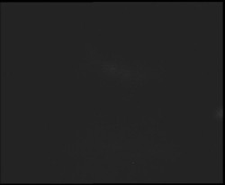 Nástup na běžecké tratě