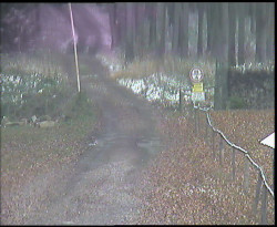 Nástup na běžecké tratě