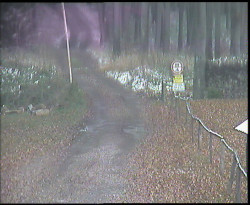 Nástup na běžecké tratě