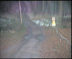 Nástup na běžecké tratě