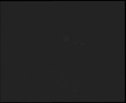 Nástup na běžecké tratě