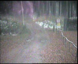 Nástup na běžecké tratě