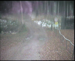 Nástup na běžecké tratě