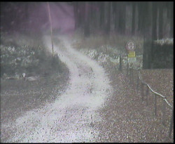 Nástup na běžecké tratě