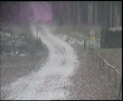 Nástup na běžecké tratě